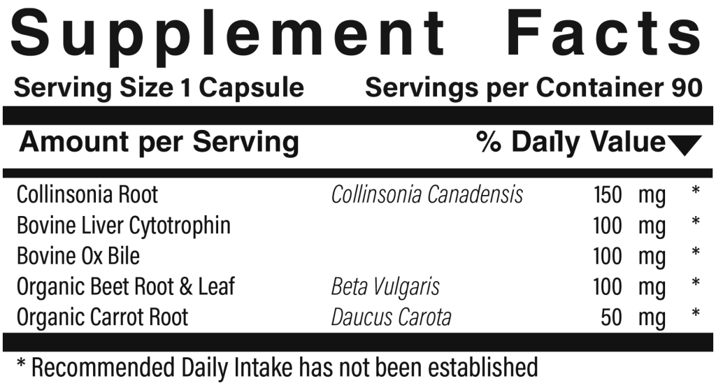 GB Support — 90 Capsules